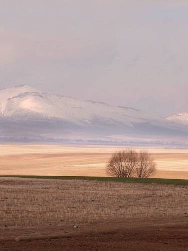 Landscape