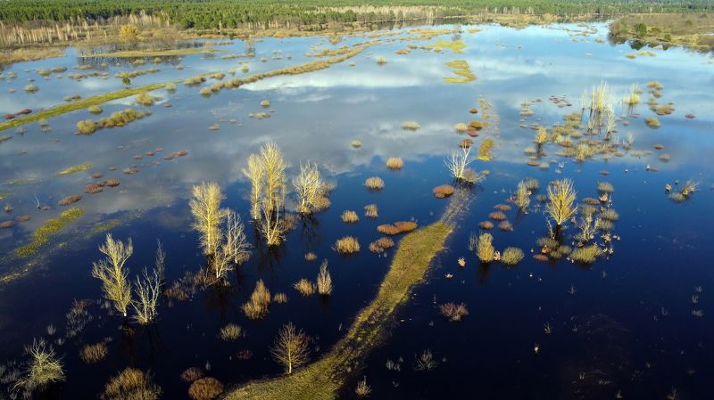 Весенние луга фото превью