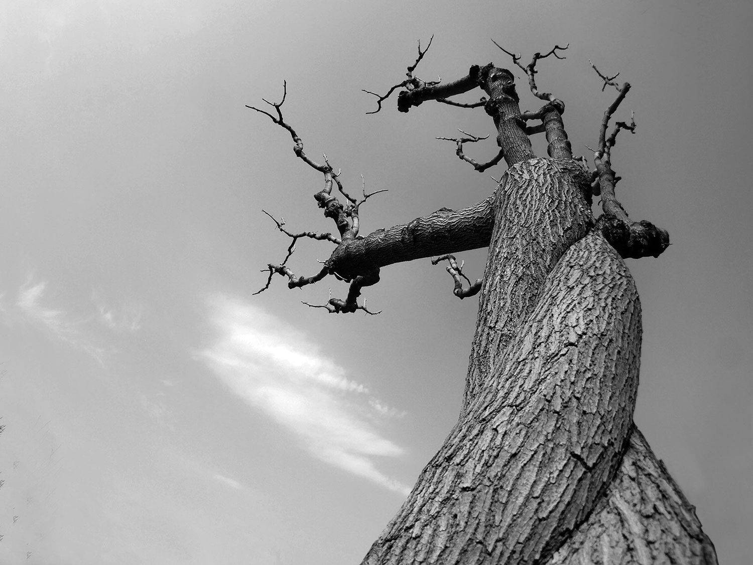 tehran - iran, Farid Ataei