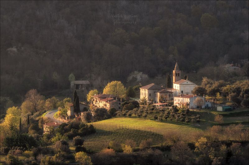 italy,faedo,italia,вечер,италия,veneto,кипарис,весна,венето,cipressi,belvedere,деревня,фаэдо Весенний вечер в Фаэдо фото превью