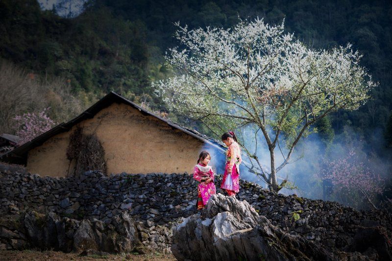 фото превью