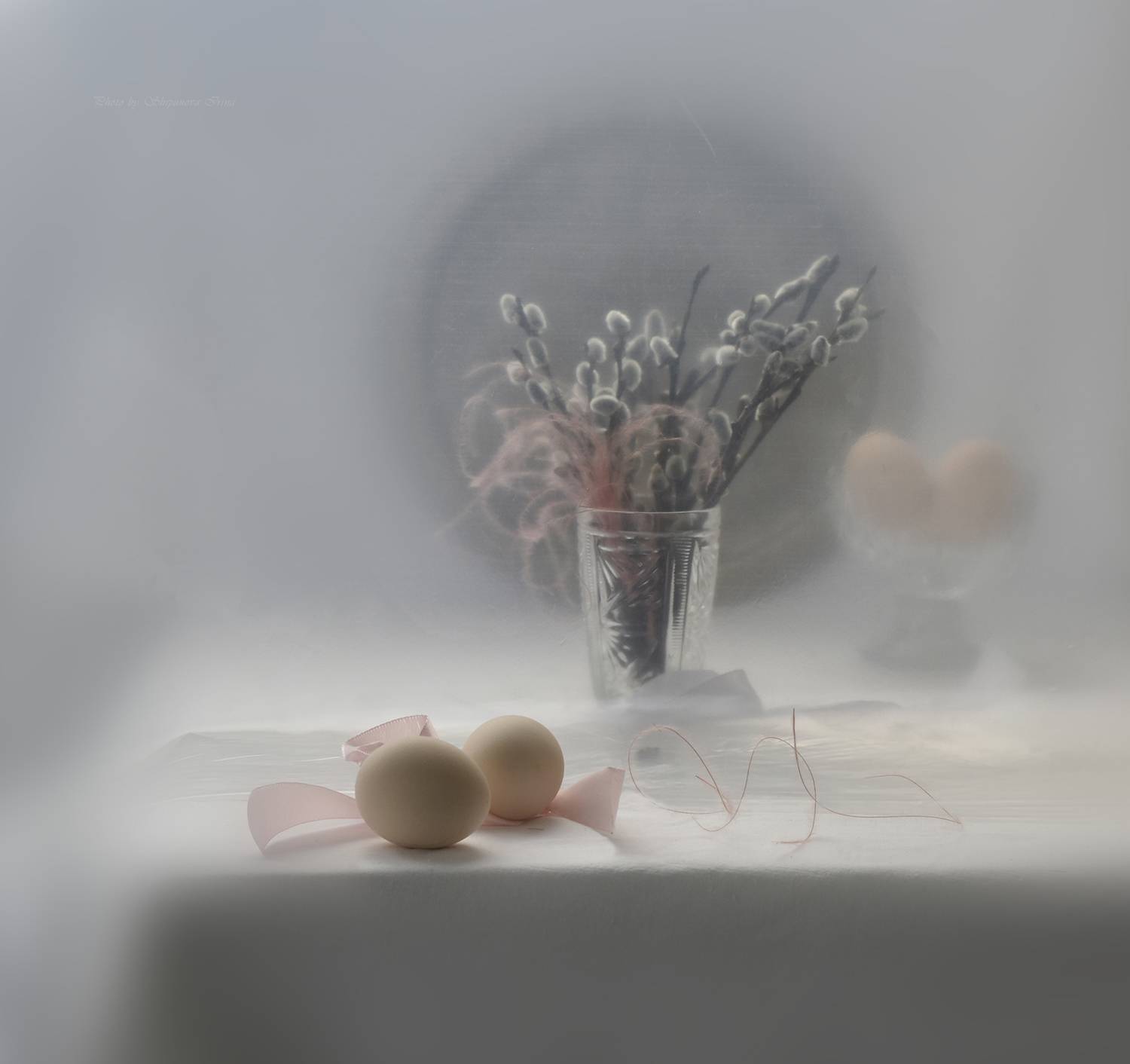 , Ирина Шипунова