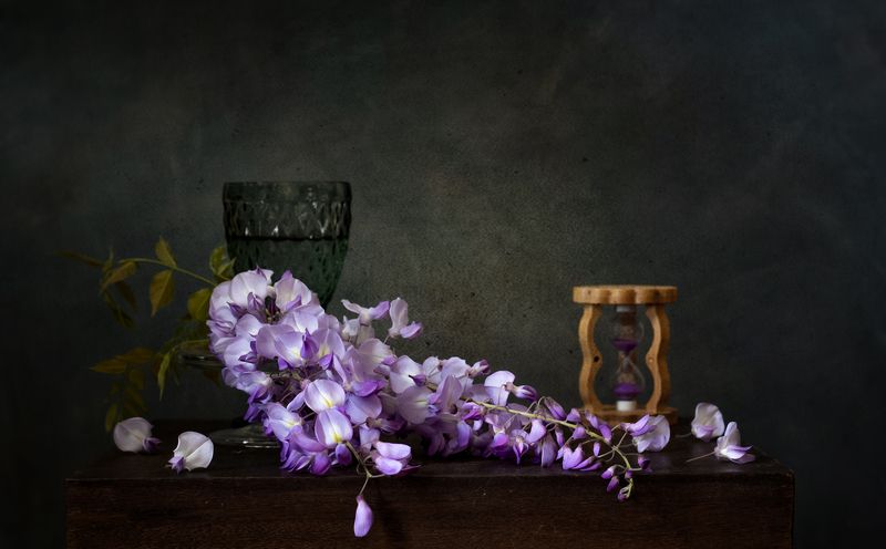 натюрморт, цветы, глициния С глицинией фото превью