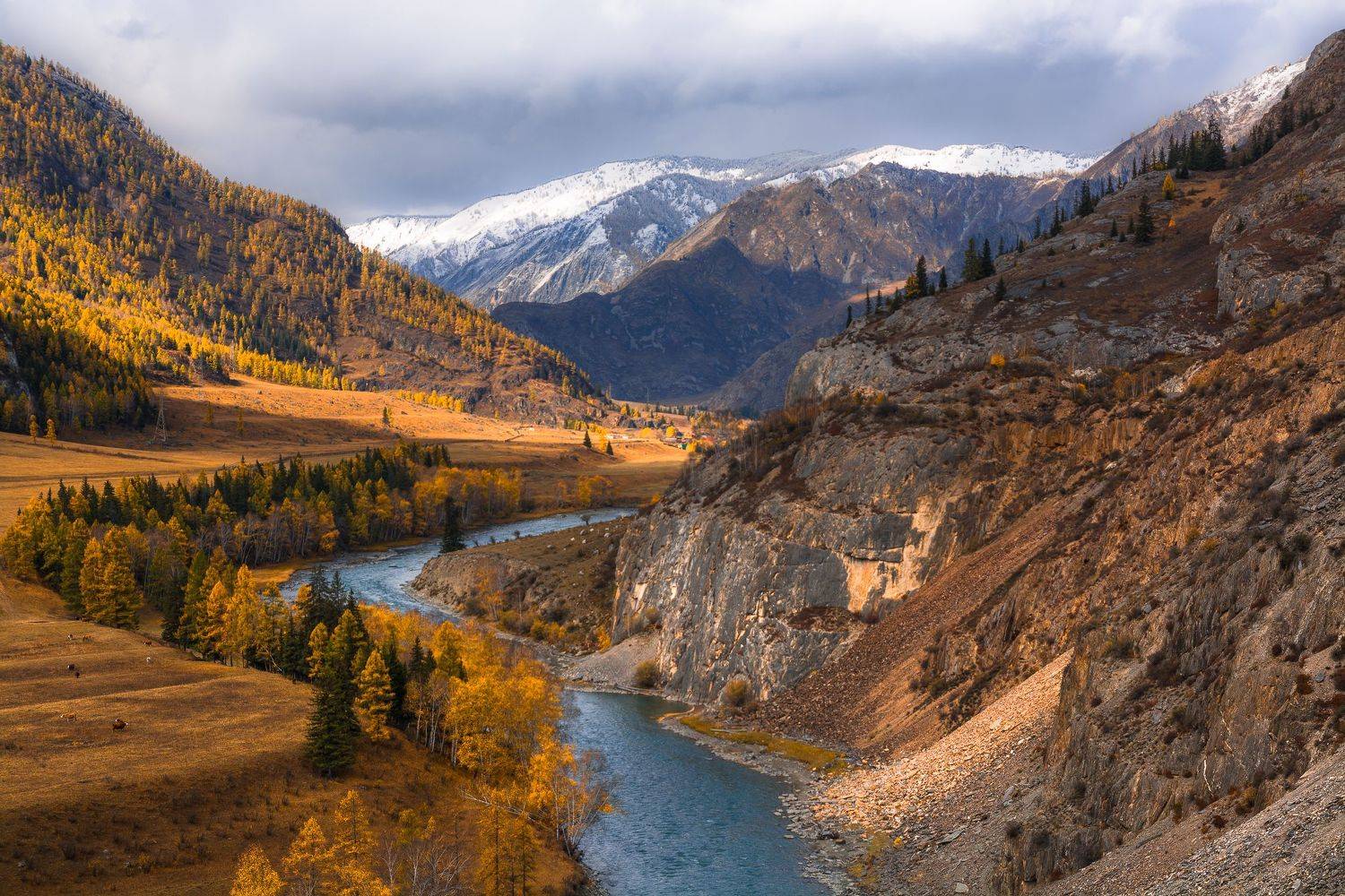 россия, горный алтай, река чуя, осень, Андрей Поляков