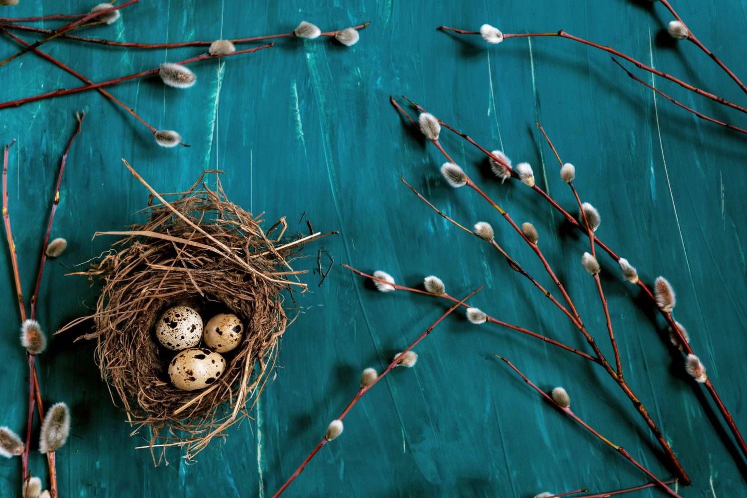 , Чепрасова Мария