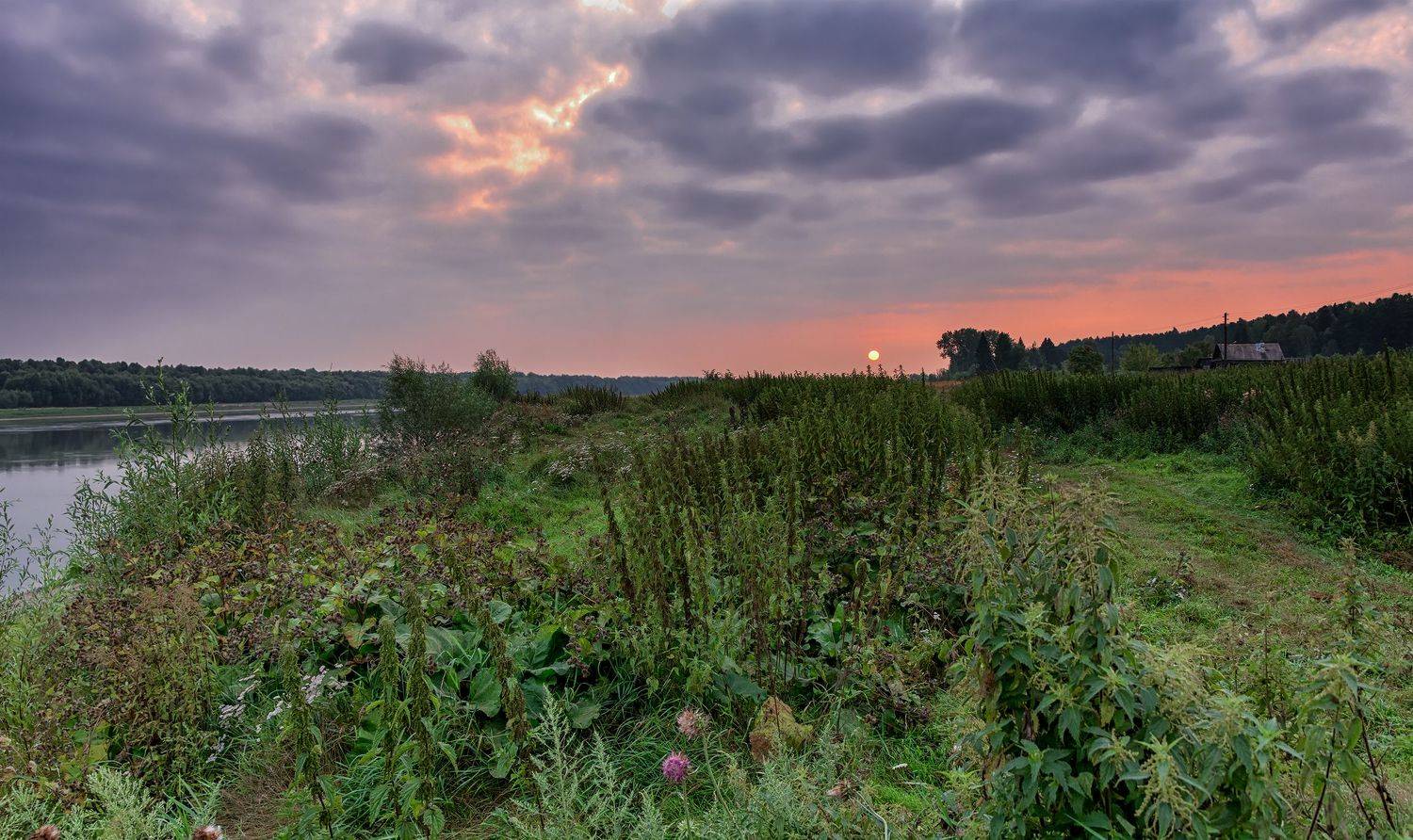 пейзаж, заказник, берег, иртыш, закат,, Марина Мочалова