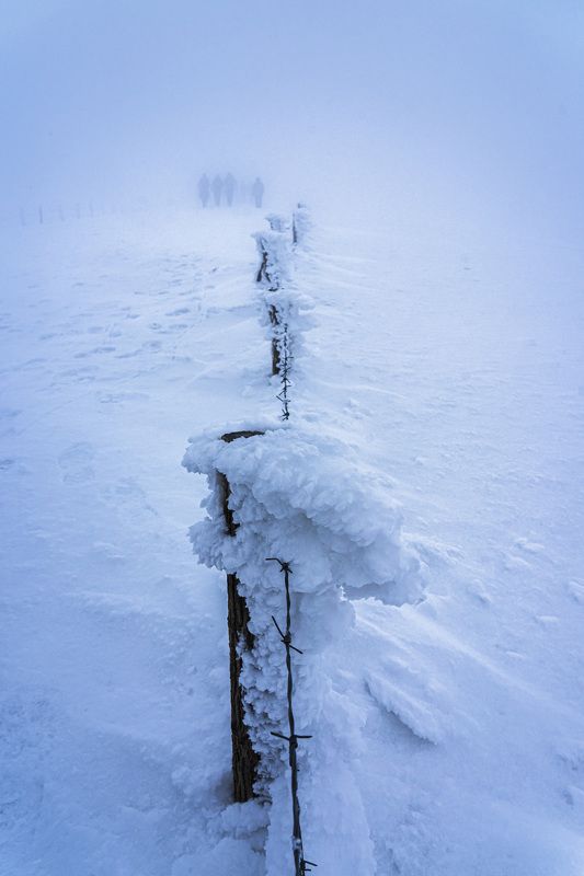 snow landscape nature vertical Snow фото превью