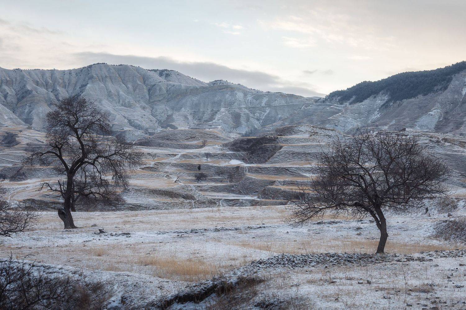 дагестан, Александр Писарев