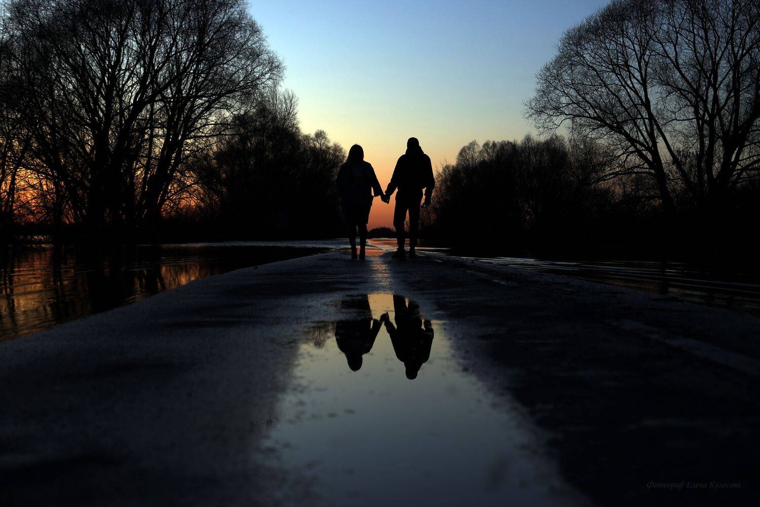 , Колосова Елена