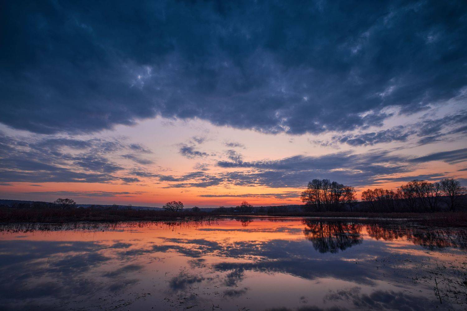 , Дмитрий Дыбов