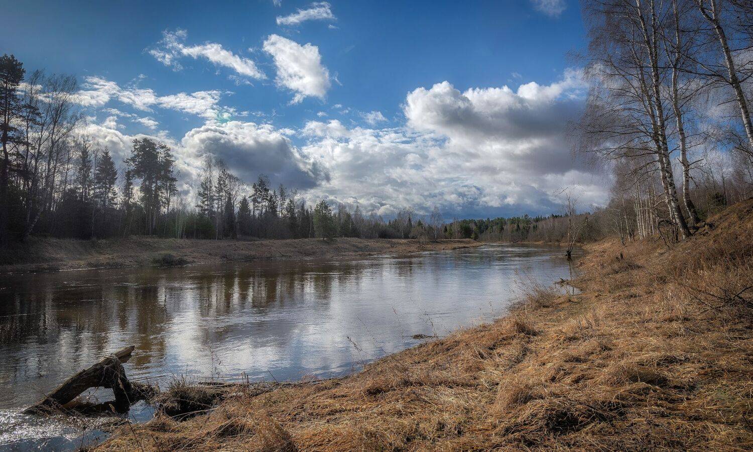 река, апрель, река, лес, Сергей Аникин