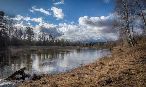 Которосль в апреле