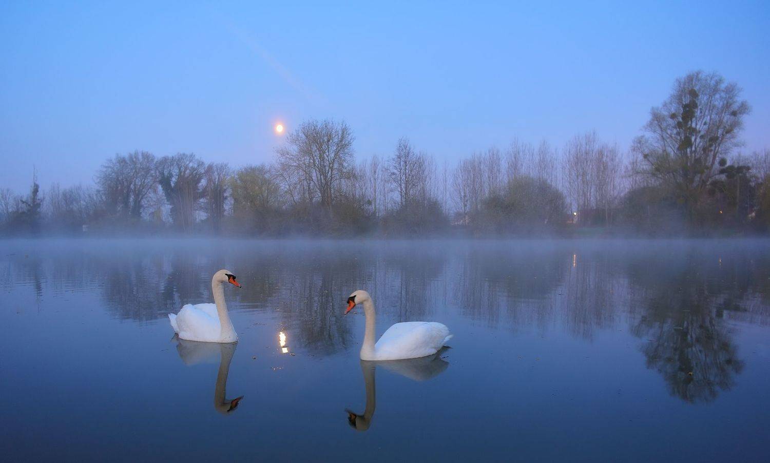 , Руслан Авдевич