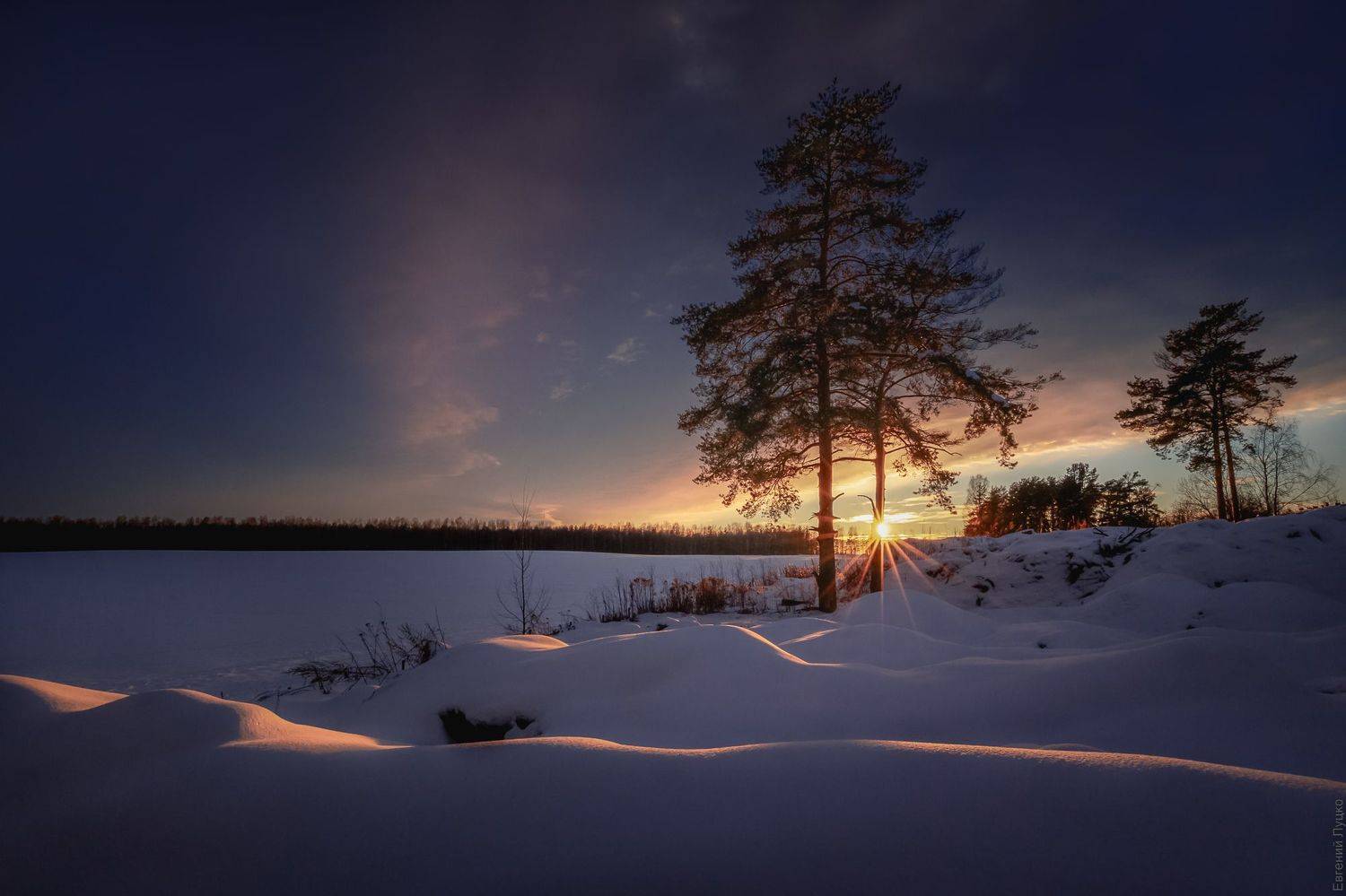 , Евгений Луцко