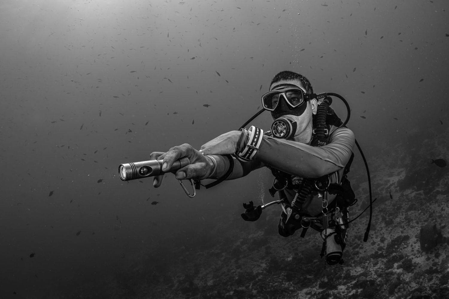 , Савин Андрей