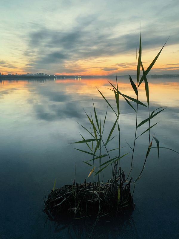 *** фото превью