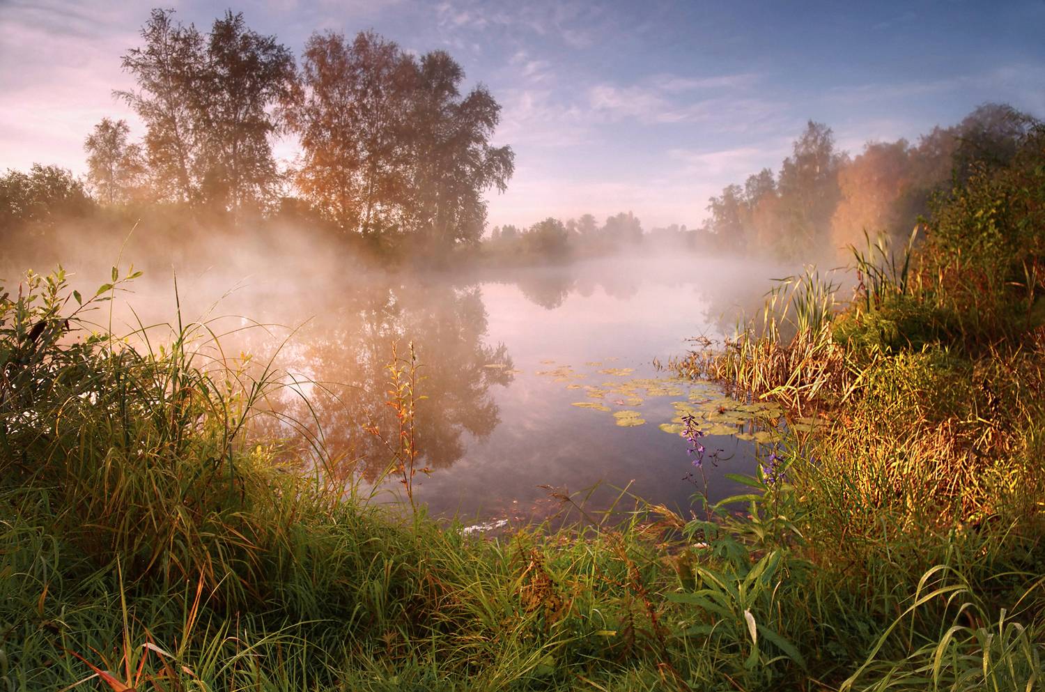утро, рассвет, свет, туман, озеро, вода, трава, природа, пейзаж, валерий чичкин, Чичкин Валерий
