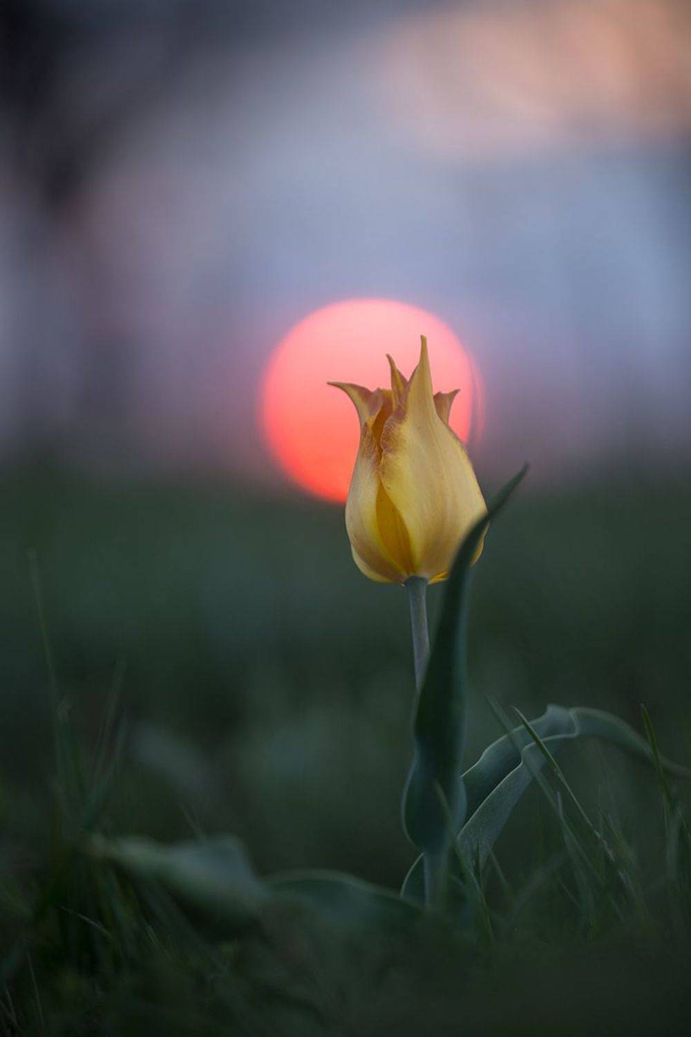 , Илья Михеев