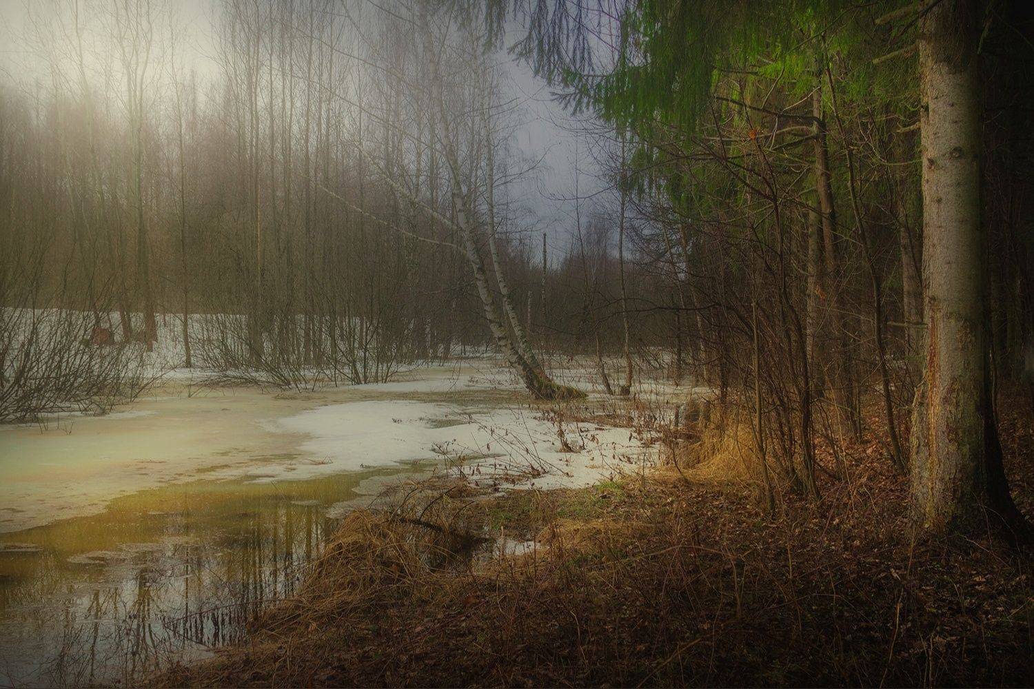 , Елена Рубинская