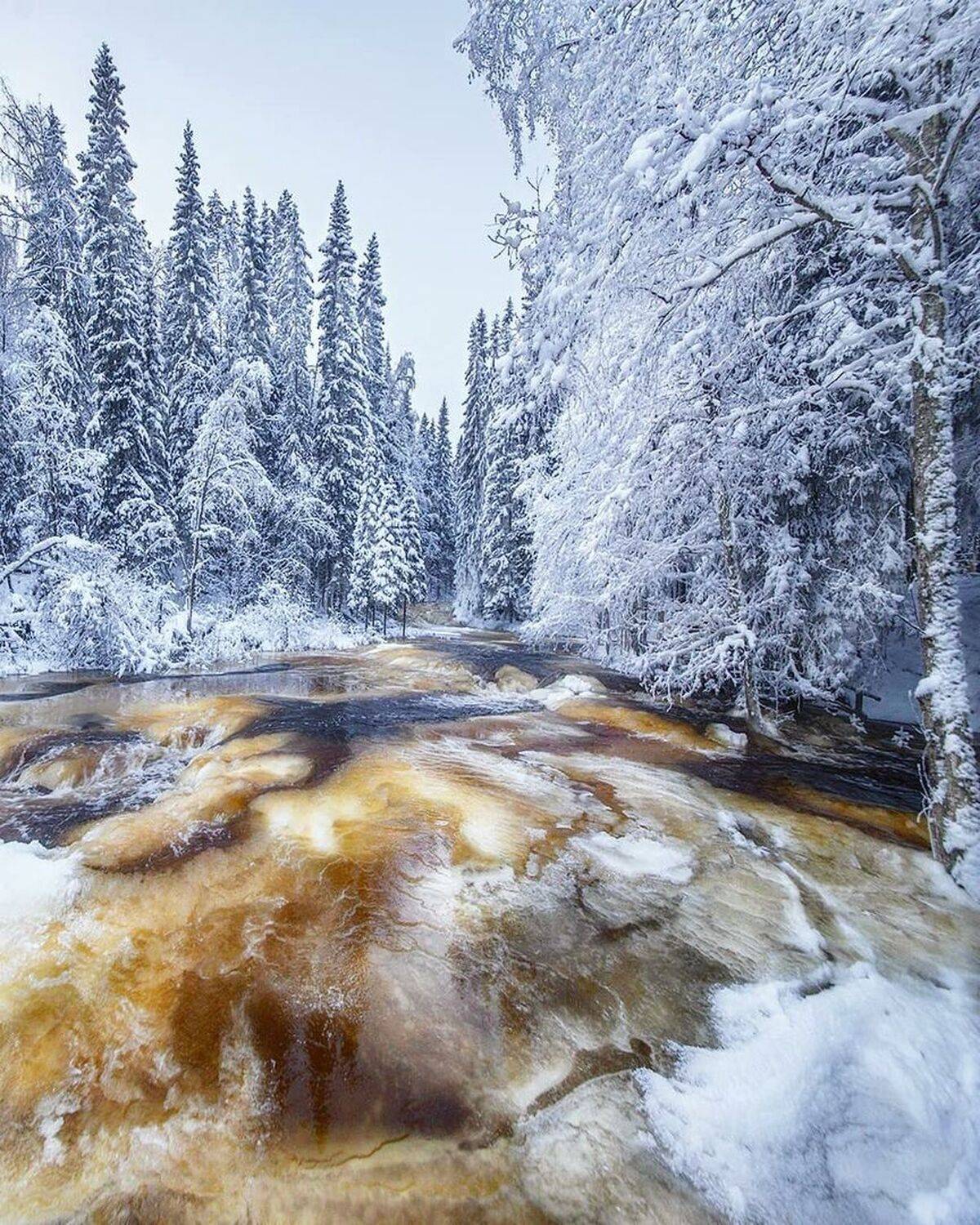 , Петр Косых