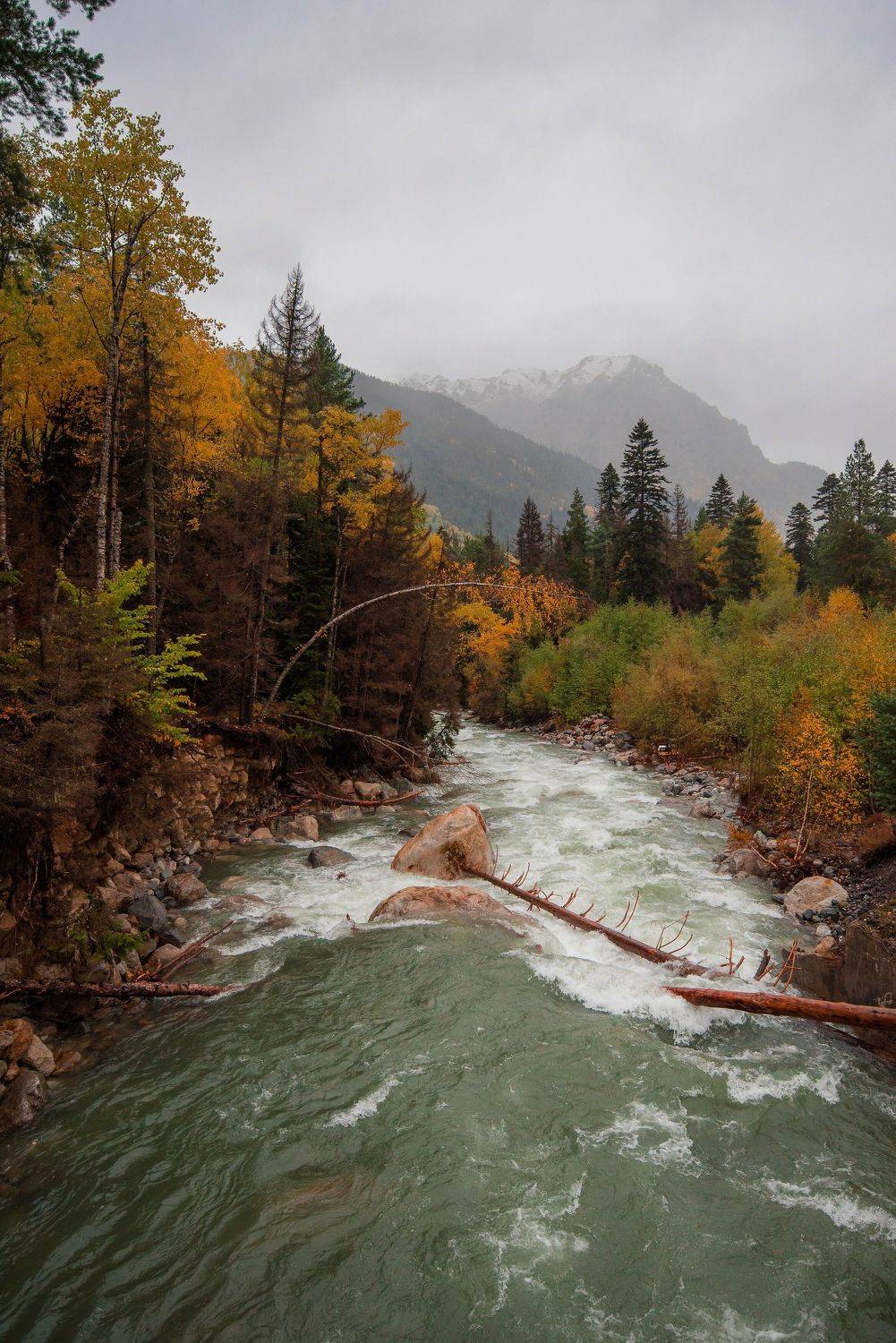 , Дмитрий Величко