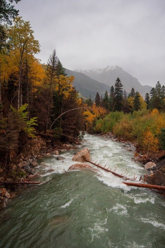 Река Гоначхир фото превью