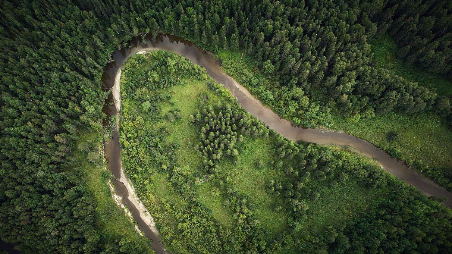 , Лисаускас Илья