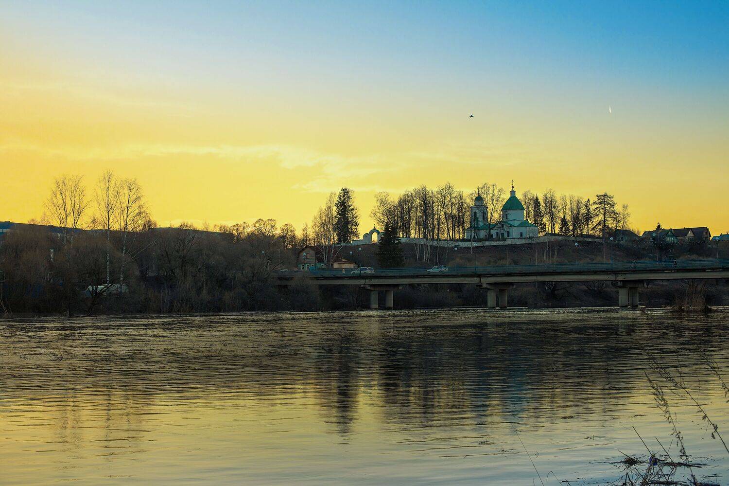 , Ирина Ларина