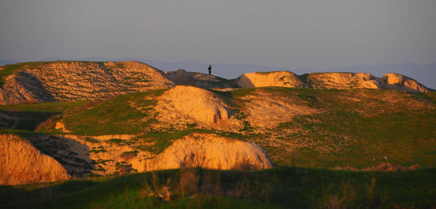 самарканд, ANDREY PERESHEIN