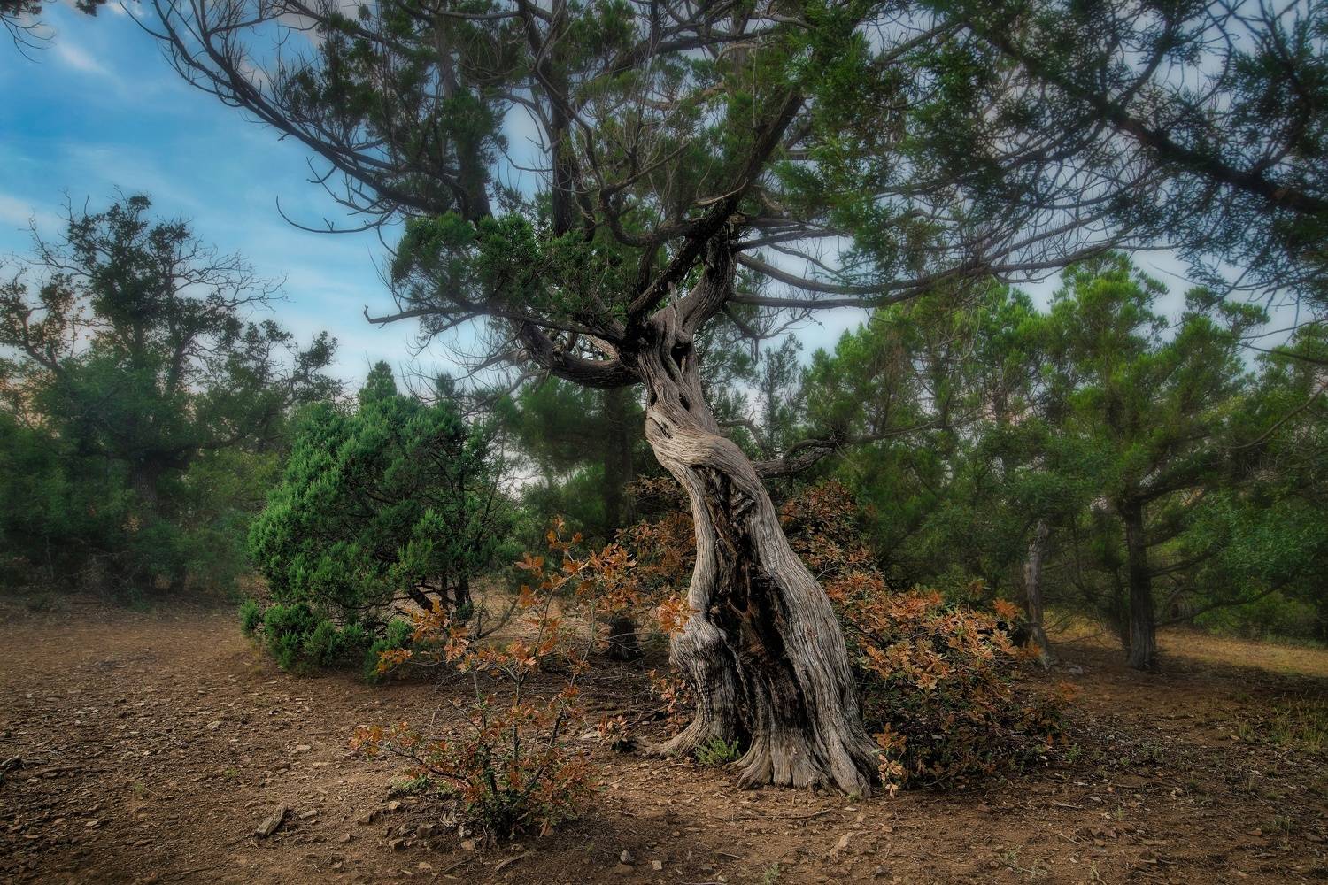 , Кунин Илья