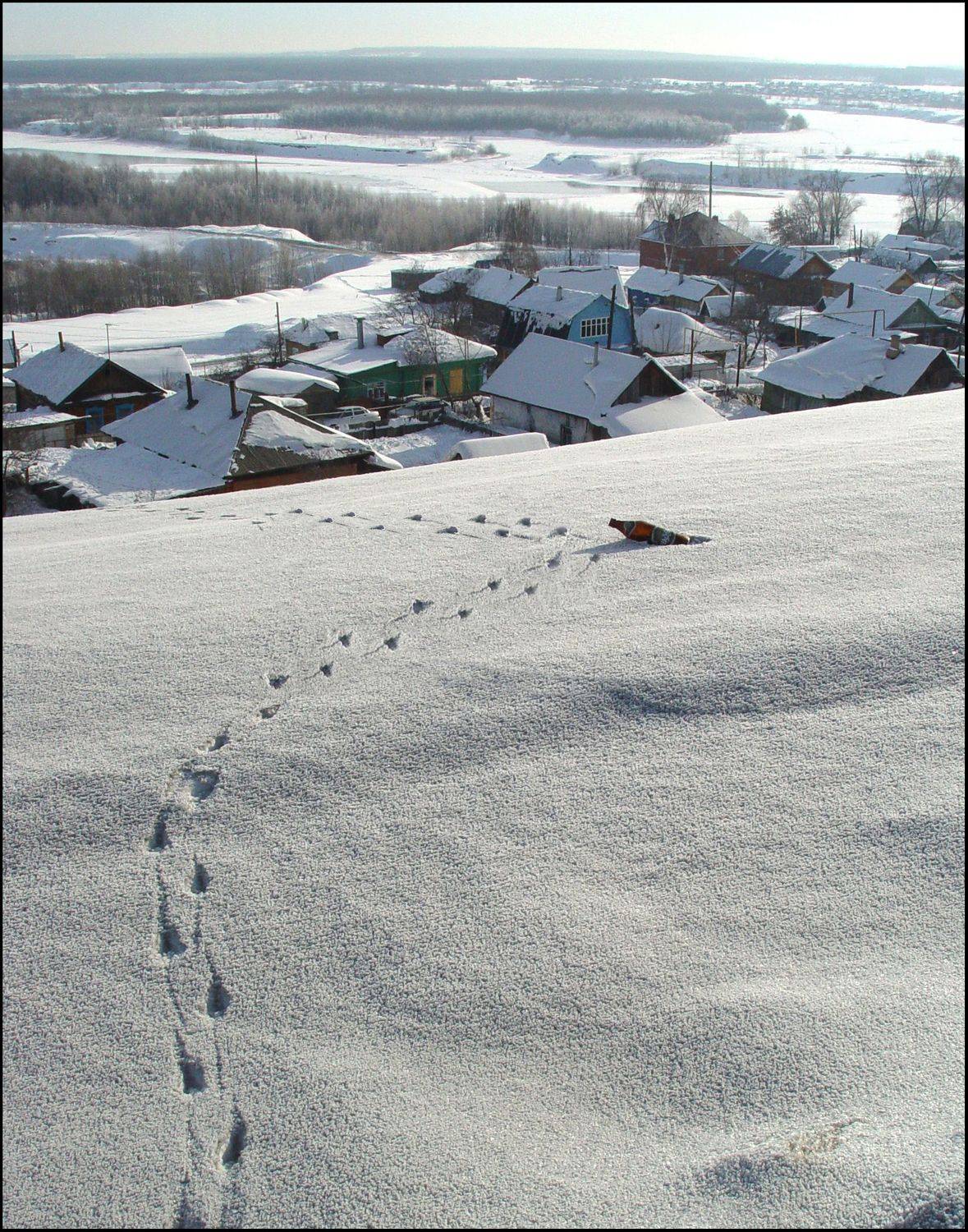 , Меднов Влад