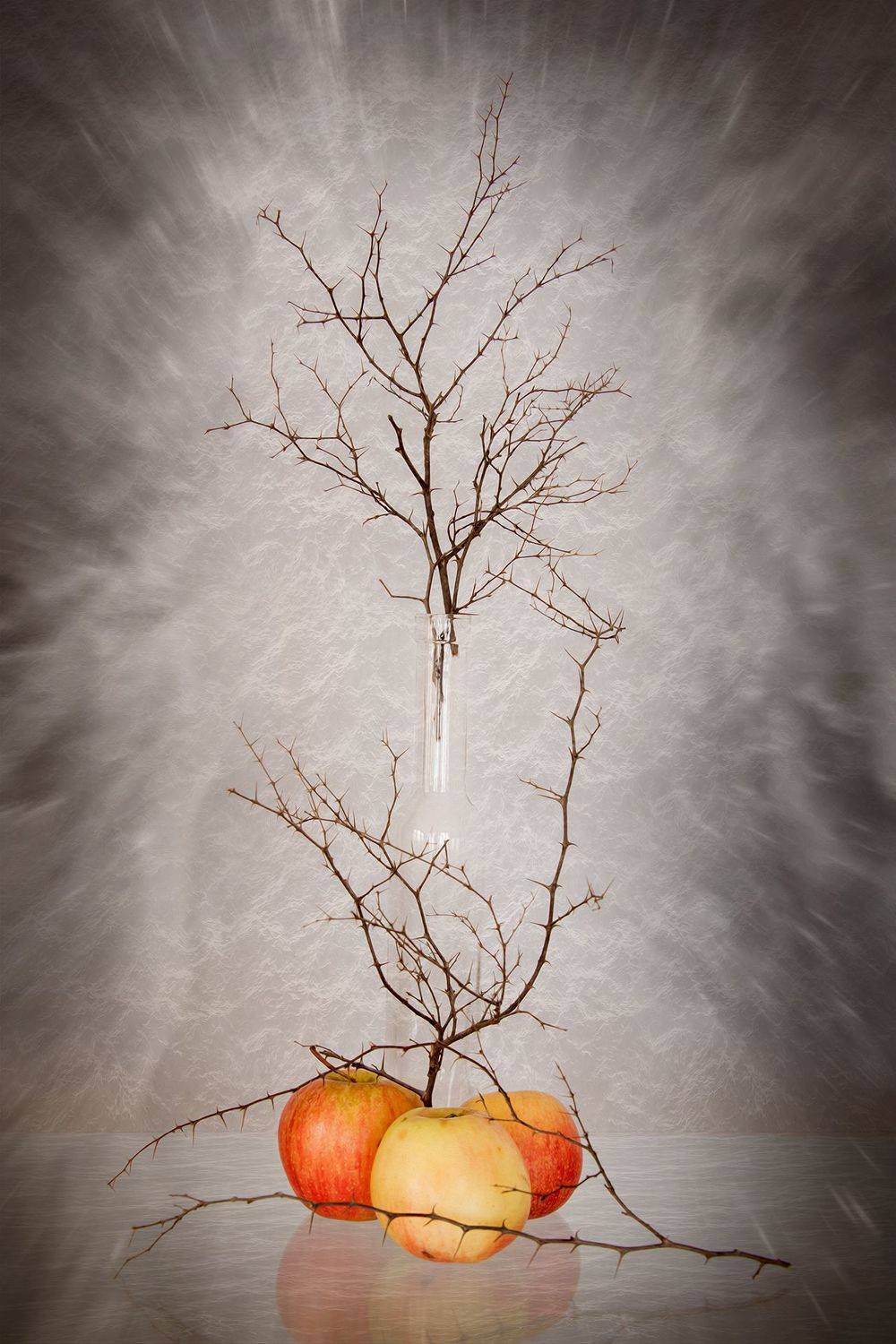apple, apples, bottle, branches, color, colors, concept, conceptual, photography, red, still life, yellow,, Dr Didi Baev