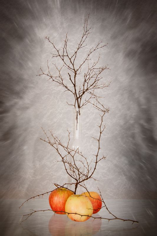 apple, apples, bottle, branches, color, colors, concept, conceptual, photography, red, still life, yellow, Small Bottle and Three Apples фото превью