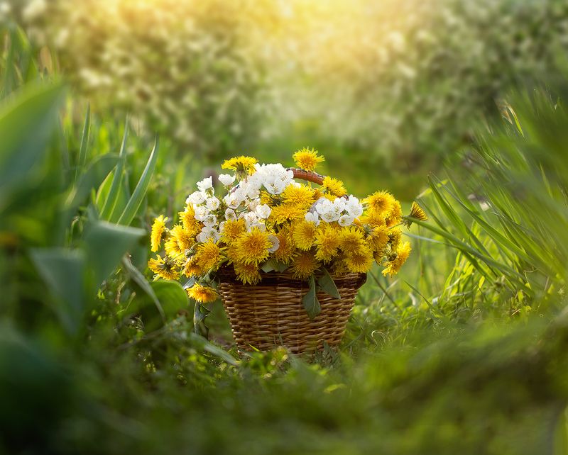 *** фото превью