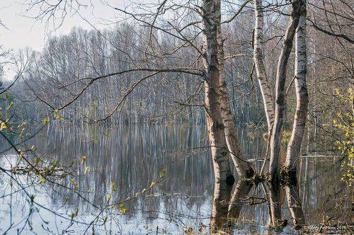 Весенние ритмы