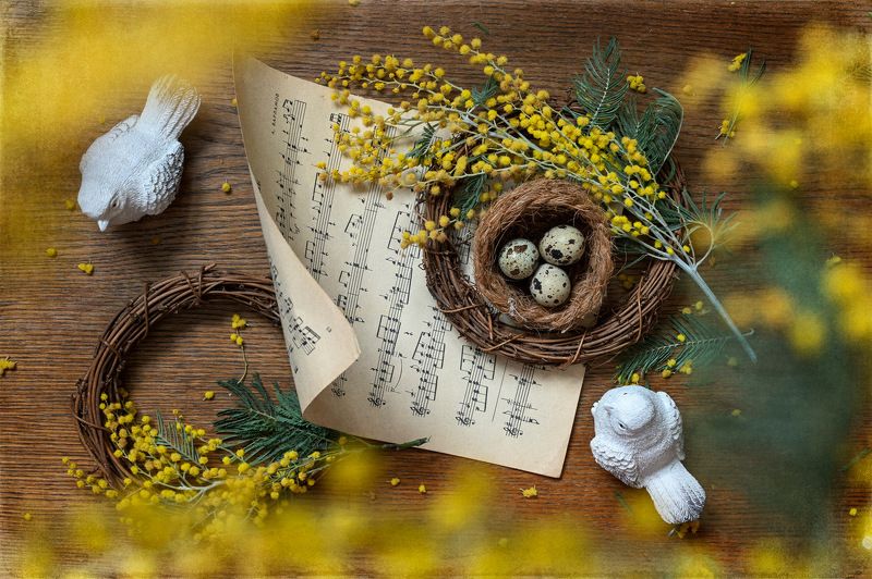 Весна пришла! фото превью