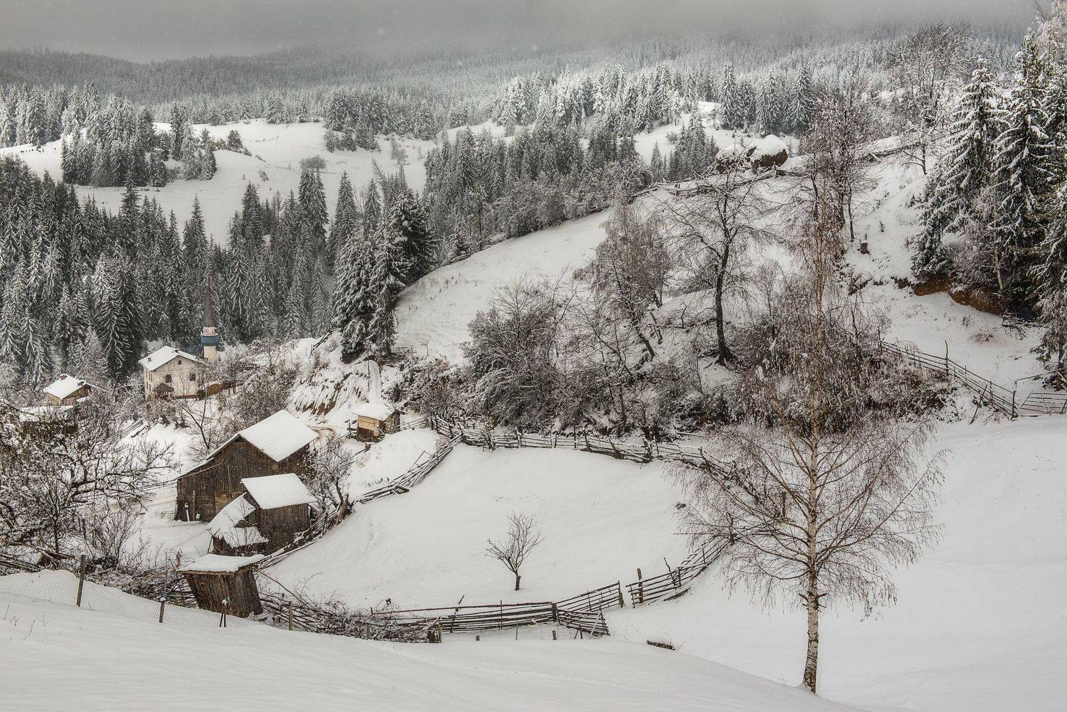 , Mariyana Atanasova - Lucero