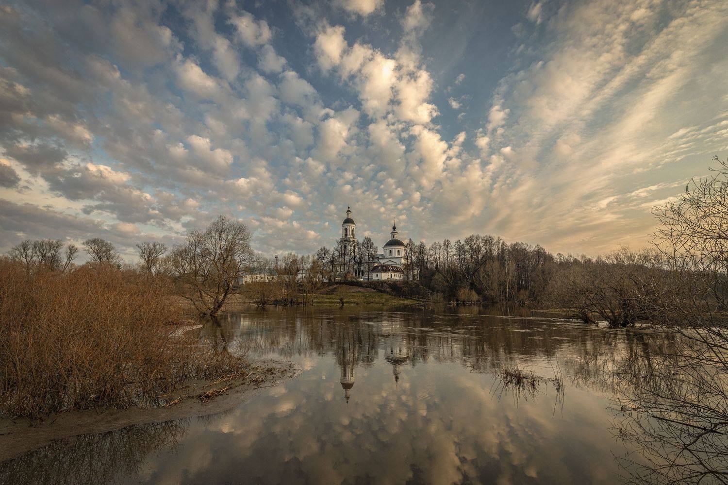 Владимирская область, Елена Гусева