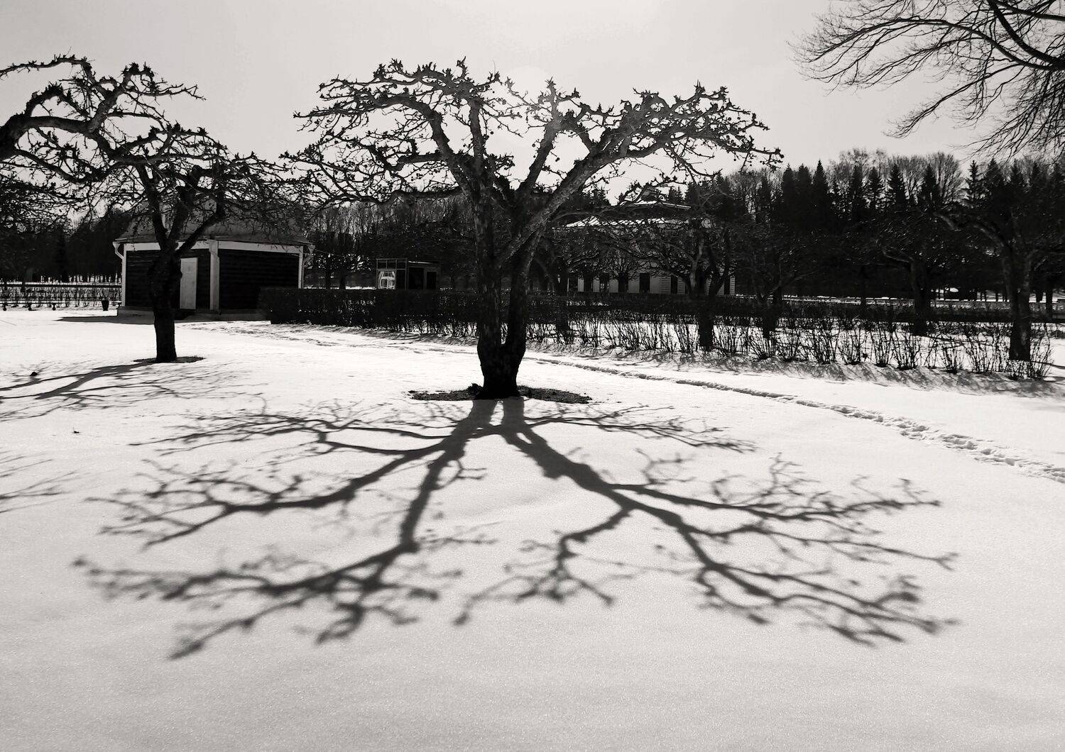 , Сергей Григорьев