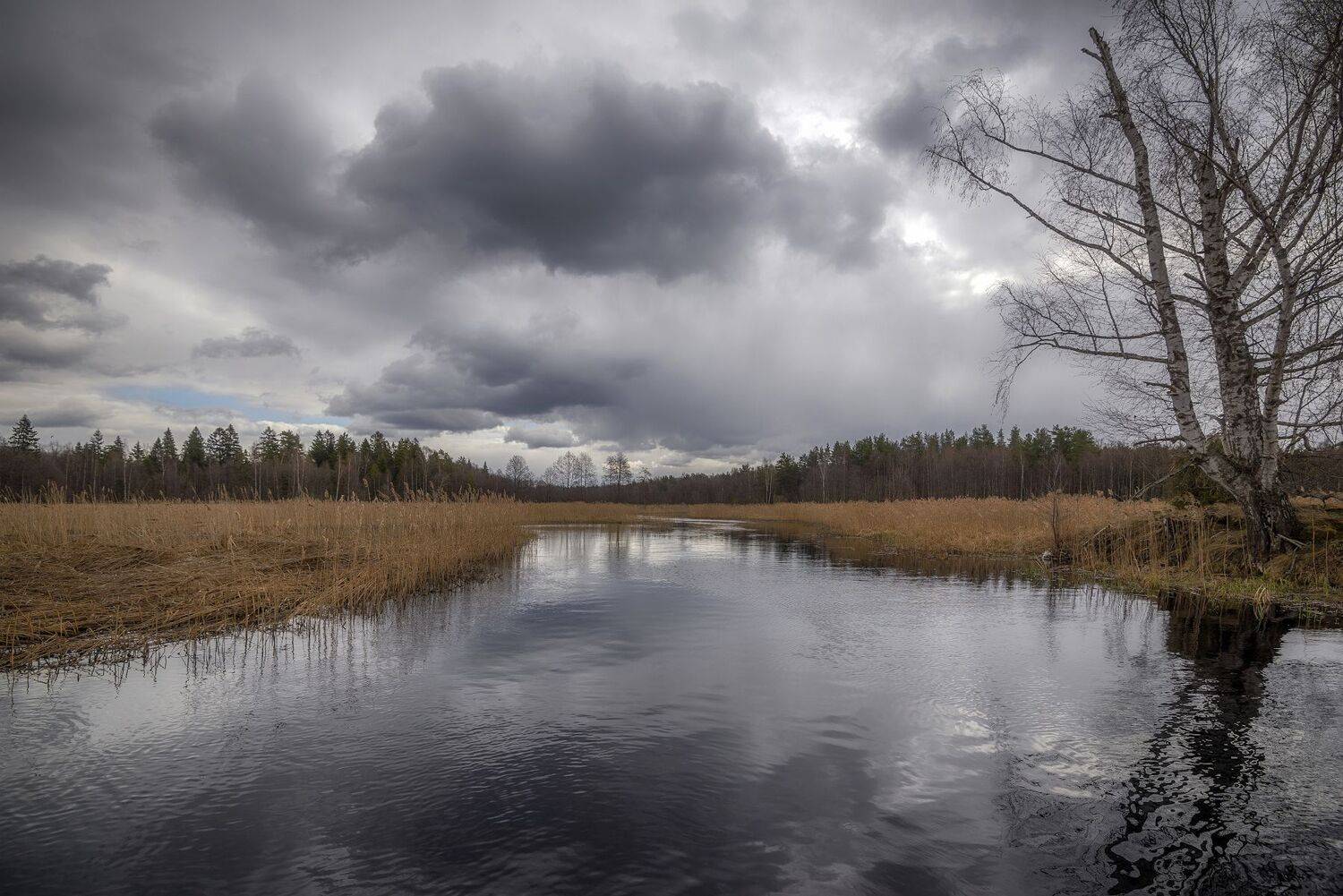 апрель, весна, половодье, паводок, тучи, Сергей Аникин