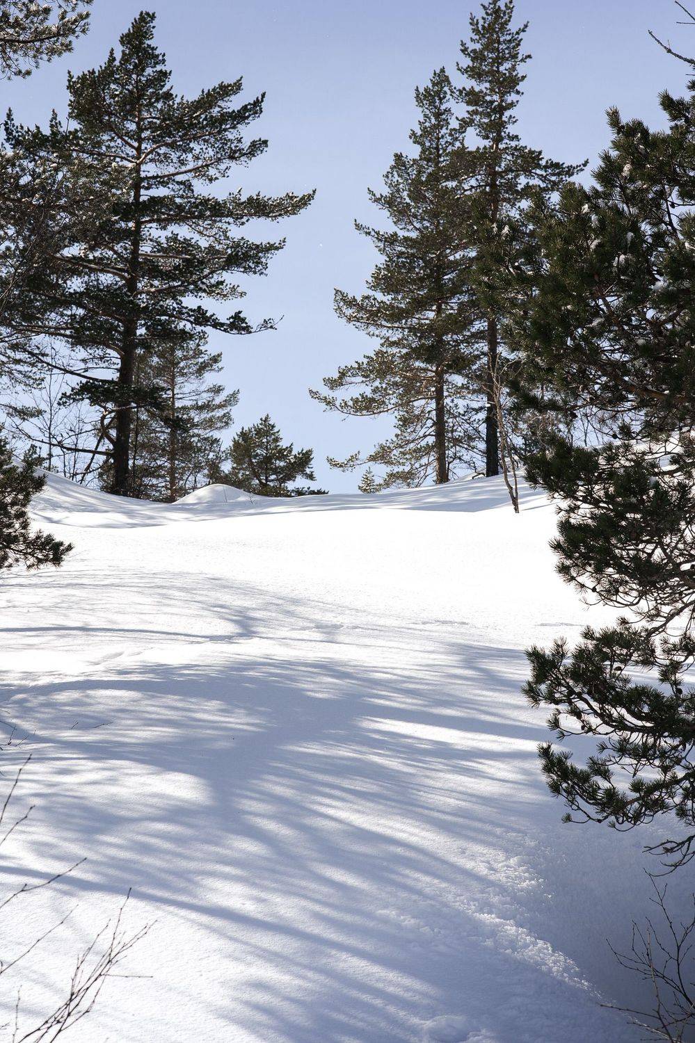 norway ski winter tur mauntains, Ольга Кудина