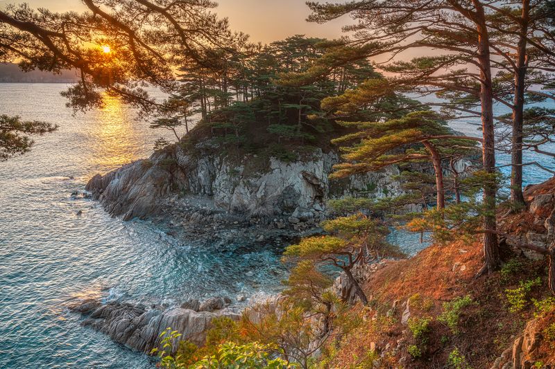 владивосток, рассвет, приморье, полуостров гамова, дальний восток, японское море, море, свет, landscape, seascape  фото превью