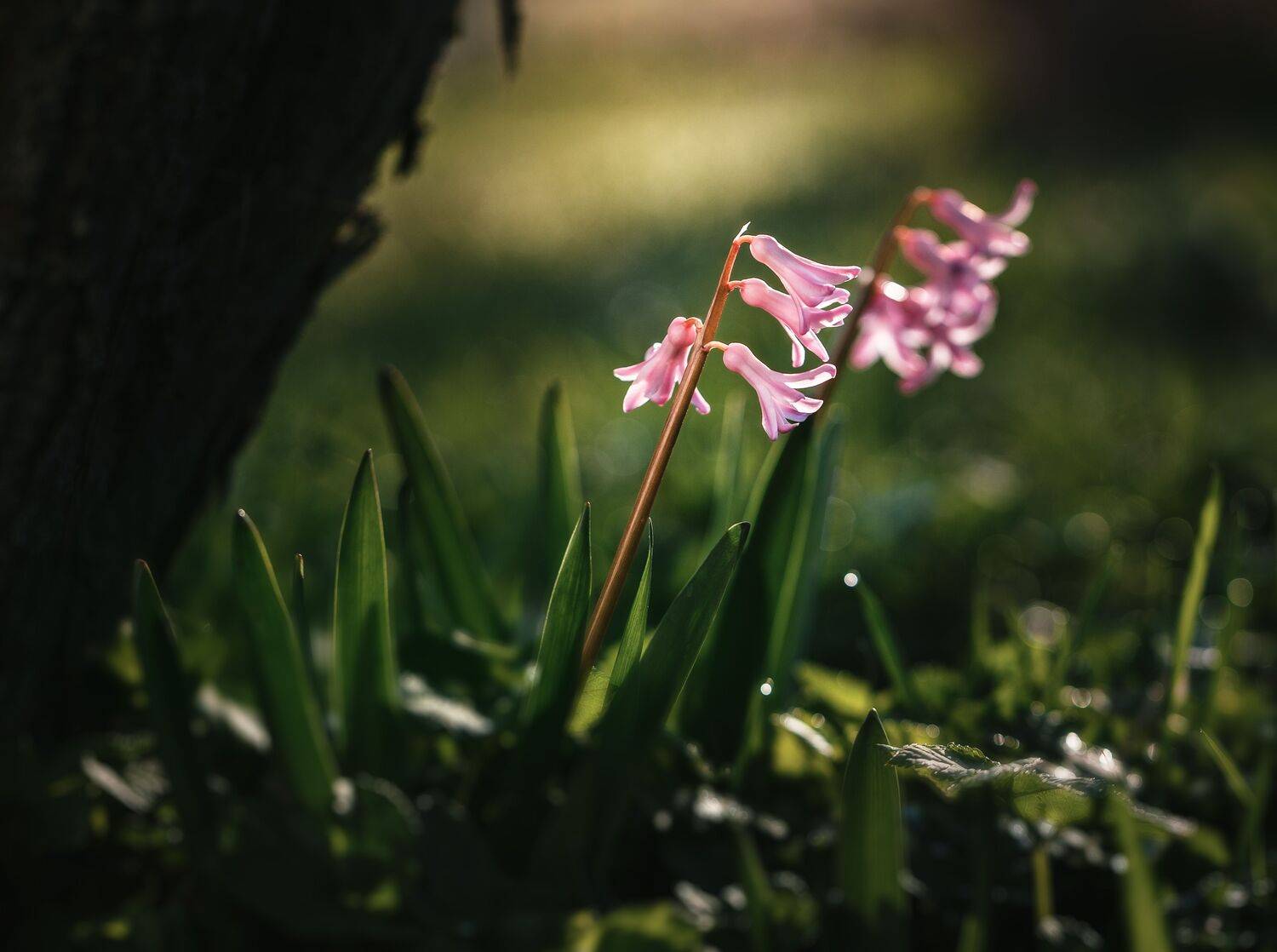 , Зеленько Дмитрий