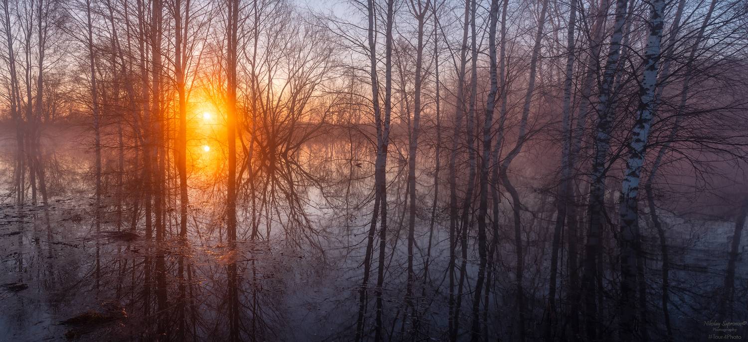 теза, ивановская область, холуй, южский район, весна, разлив, половодье, отражения, восход, Николай Сапронов