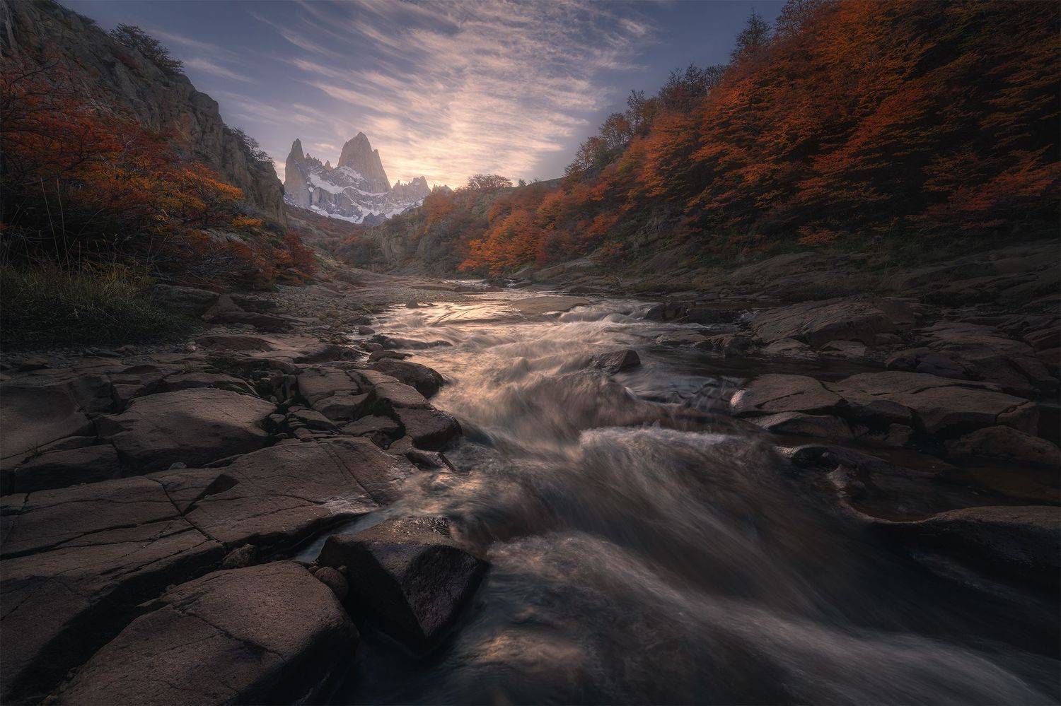 , Политова Анна