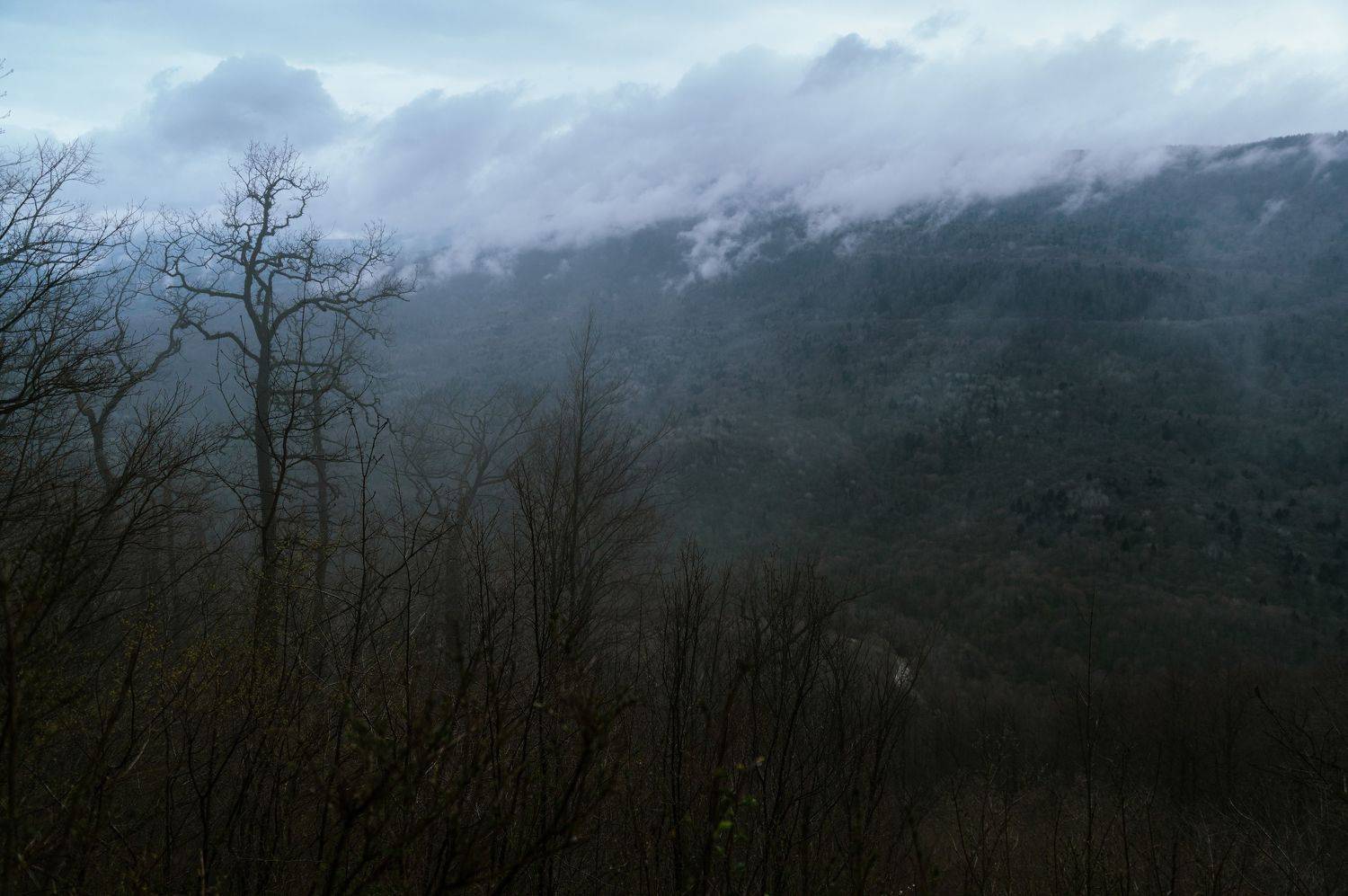 landscape, mountains, nature, forest, адыгея, trees, туман, fog, caucasus,, Бугримов Егор