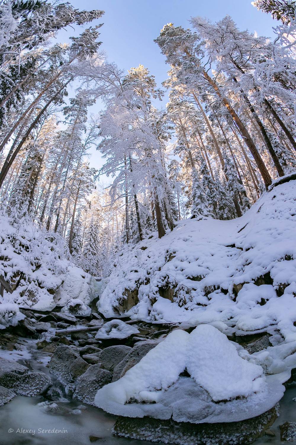 , Алексей Середенин
