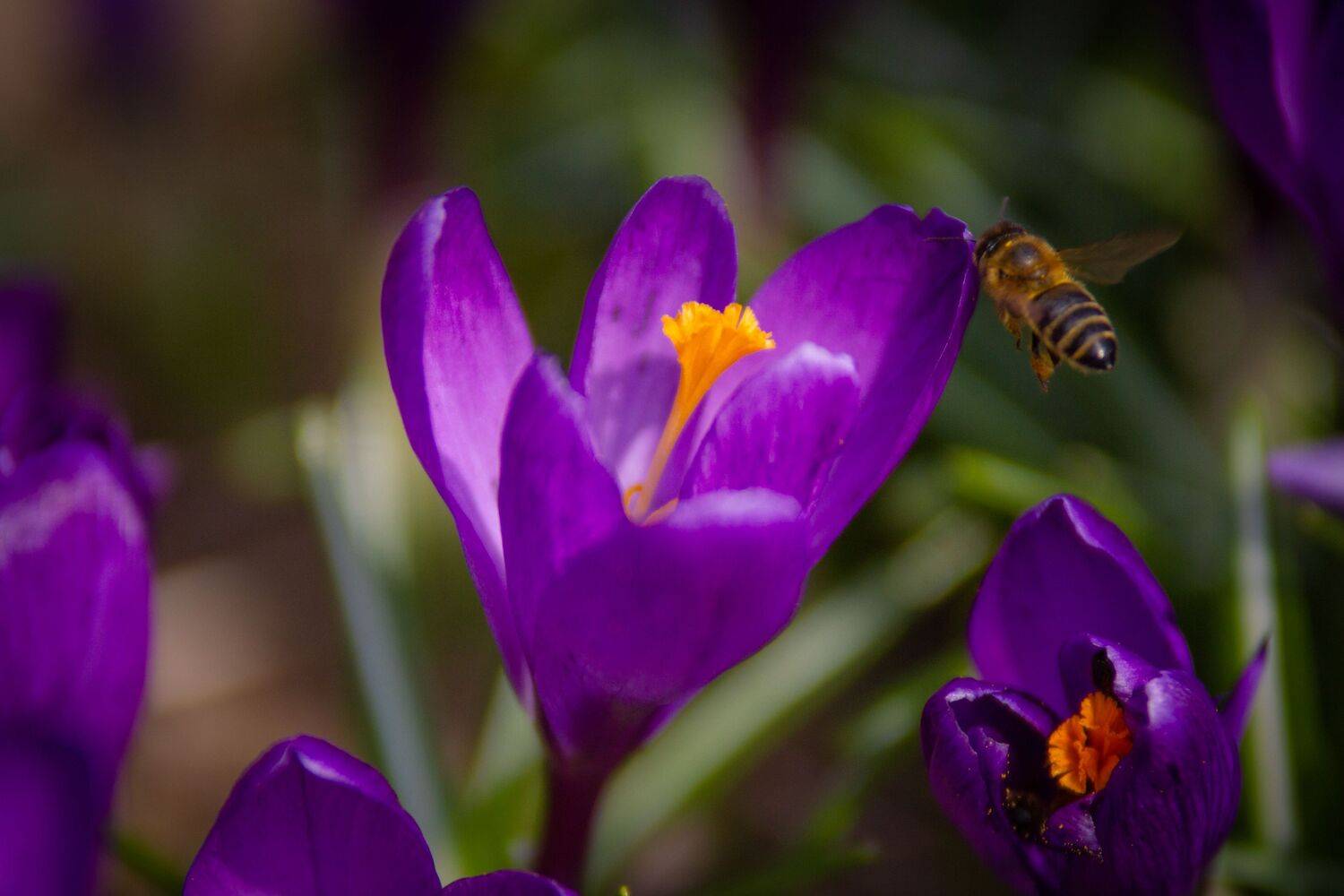 , Сергей Фаренюк