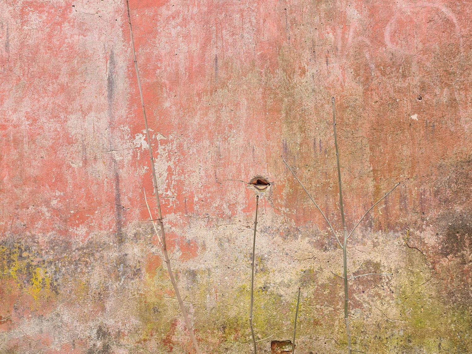 , Ольга Юсупова