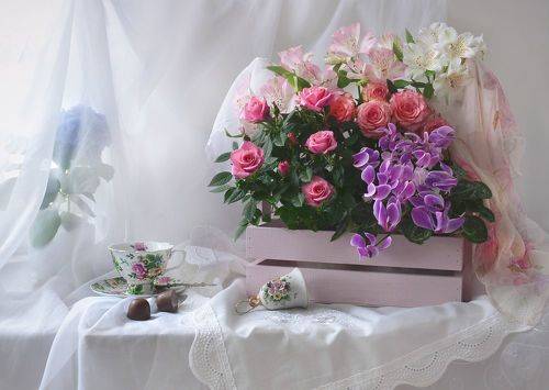 ...я вижу мир, как праздничное чудо!